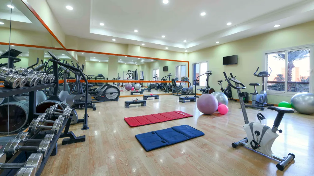 الفندق توليب أسوان - أسوان